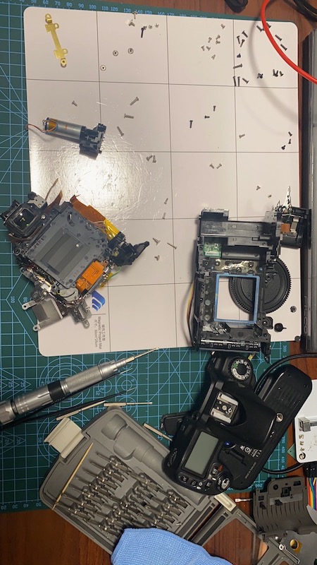 完全拆解的样子